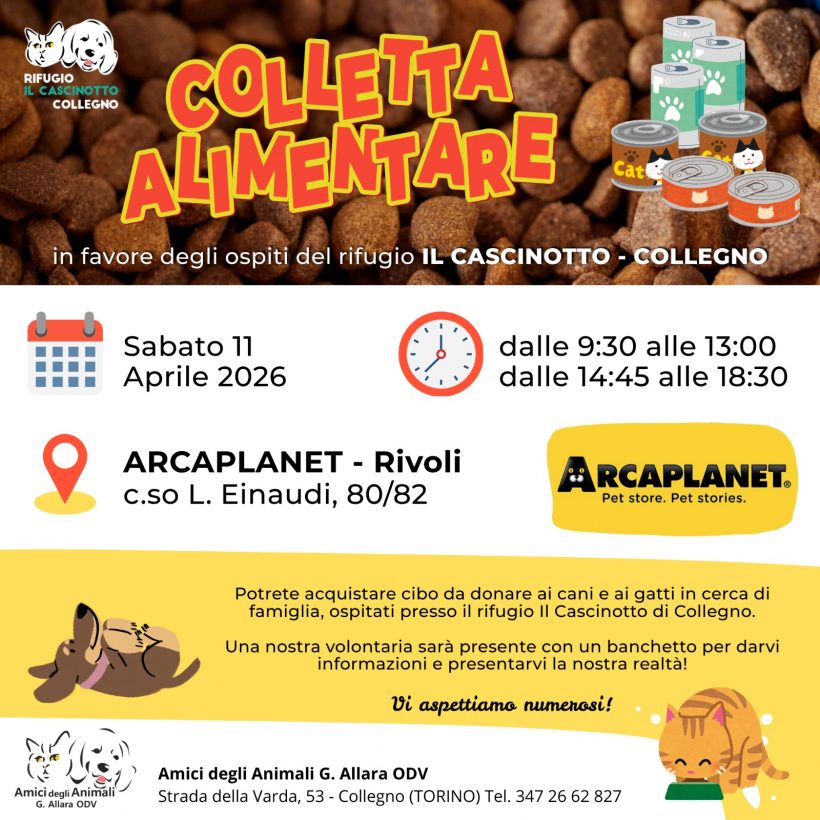 Colletta alimentare sabato 11 aprile. Vi aspettiamo! Colletta alimentare sabato 11 aprile. Vi aspettiamo!