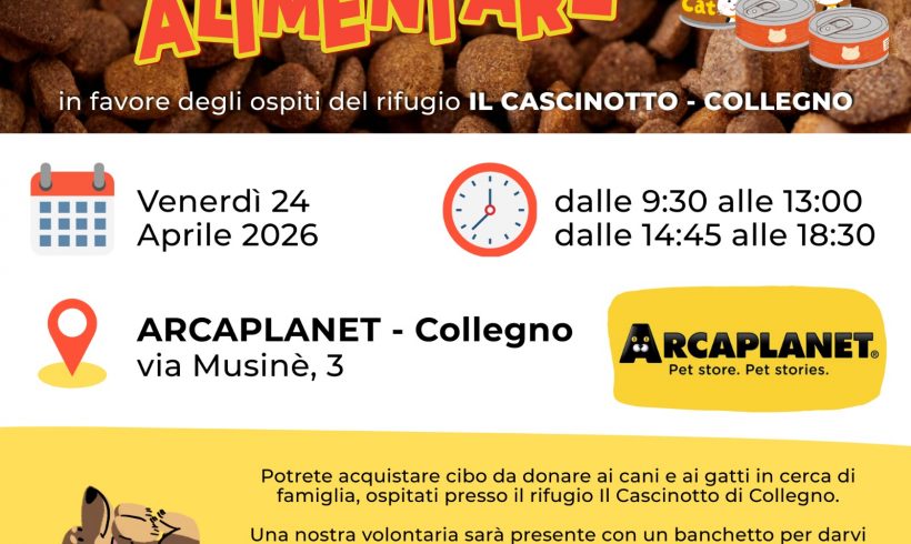 Colletta alimentare venerdì 24 aprile. Vi aspettiamo!