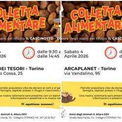 Doppia Colletta alimentare sabato 4 aprile. Vi aspettiamo!