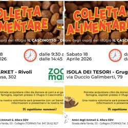 Doppia Colletta alimentare sabato 18 aprile. Vi aspettiamo!