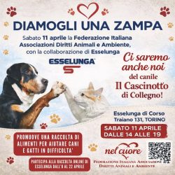 Seconda Colletta alimentare sabato 11 aprile. Vi aspettiamo!