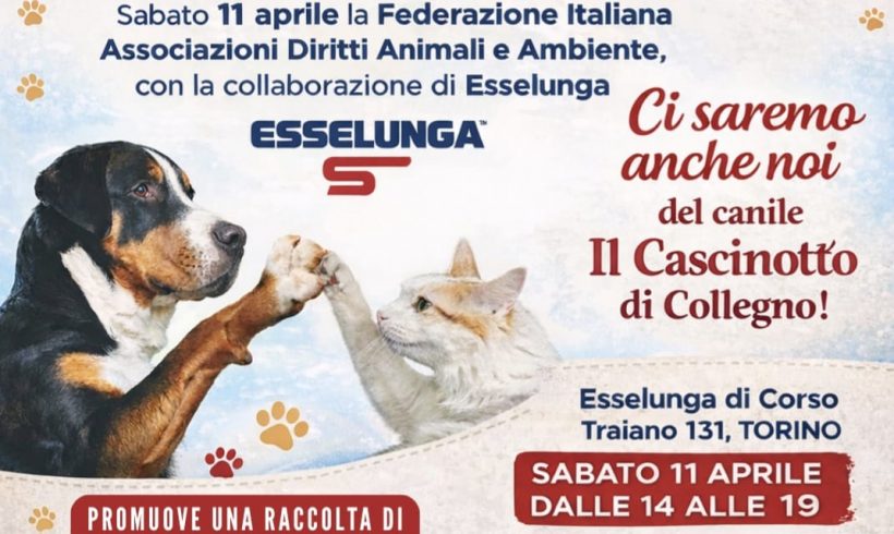 Seconda Colletta alimentare sabato 11 aprile. Vi aspettiamo!