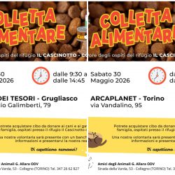 Doppia colletta alimentare sabato 30 maggio. VI aspettiamo!
