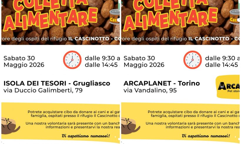 Doppia colletta alimentare sabato 30 maggio. VI aspettiamo! Doppia colletta alimentare sabato 30 maggio. VI aspettiamo!
