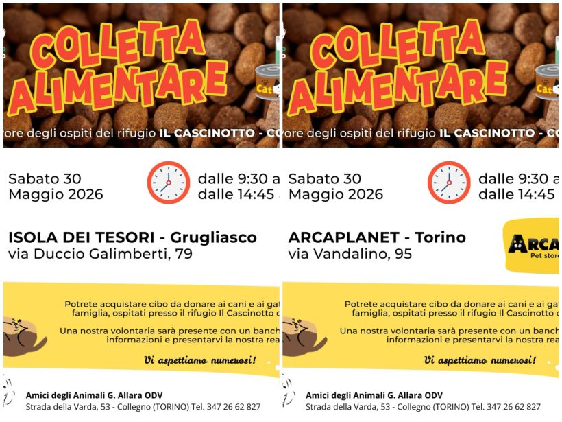 Doppia colletta alimentare sabato 30 maggio. VI aspettiamo! Doppia colletta alimentare sabato 30 maggio. VI aspettiamo!