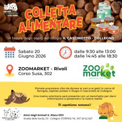 Colletta alimentare sabato 20 giugno. Vi aspettiamo!