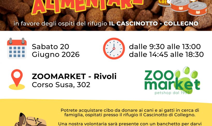 Colletta alimentare sabato 20 giugno. Vi aspettiamo! Colletta alimentare sabato 20 giugno. Vi aspettiamo!