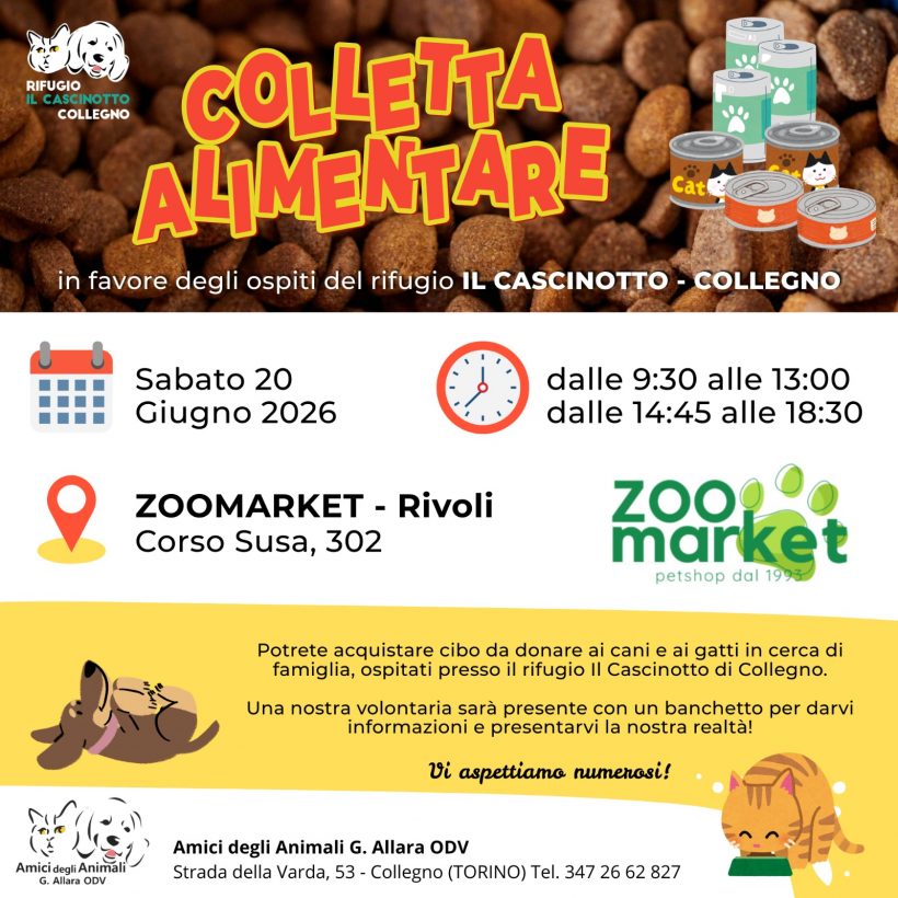 Colletta alimentare sabato 20 giugno. Vi aspettiamo! Colletta alimentare sabato 20 giugno. Vi aspettiamo!