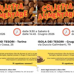 Doppia colletta alimentare sabato 6 giugno. VI aspettiamo!