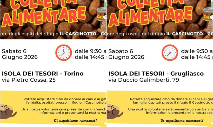 Doppia colletta alimentare sabato 6 giugno. VI aspettiamo! Doppia colletta alimentare sabato 6 giugno. VI aspettiamo!