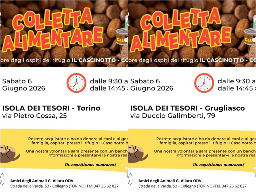 Doppia colletta alimentare sabato 6 giugno. VI aspettiamo!