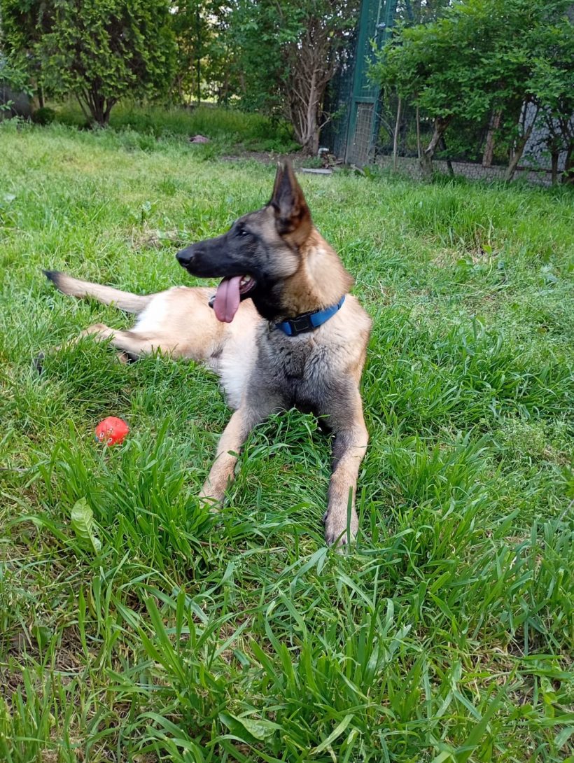 Frida
