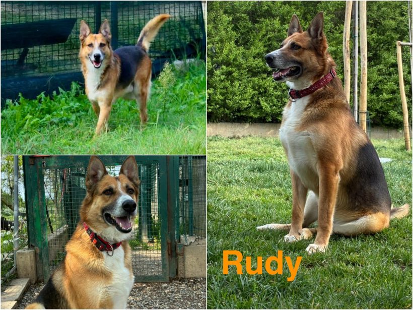Rudy Rudy
