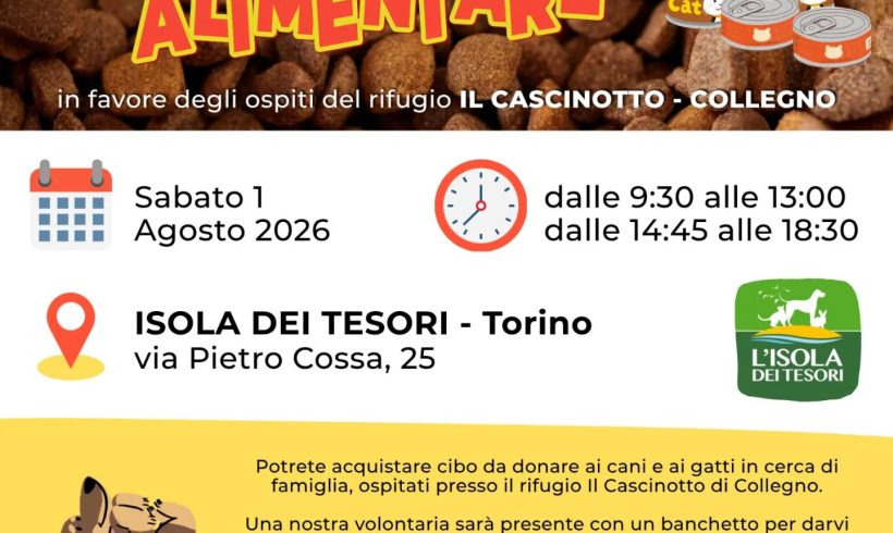 Colletta alimentare sabato 1 agosto. Vi aspettiamo! Colletta alimentare sabato 1 agosto. Vi aspettiamo!