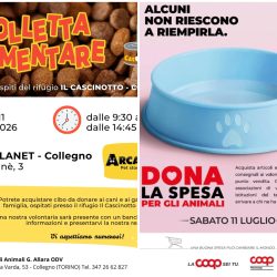 Colletta alimentare + dona la spesa! Sabato 11 luglio. Vi aspettiamo!