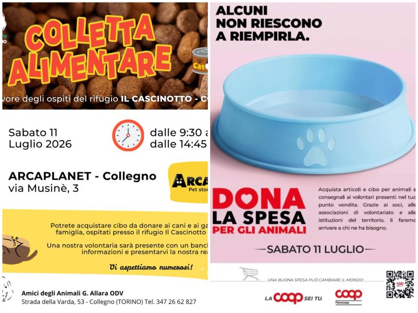 Colletta alimentare + dona la spesa! Sabato 11 luglio. Vi aspettiamo! Colletta alimentare + dona la spesa! Sabato 11 luglio. Vi aspettiamo!