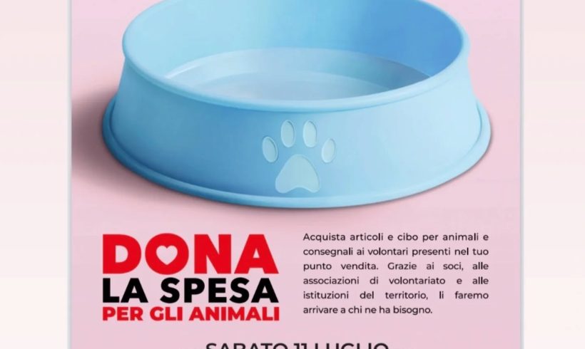 Dona la spesa – Sabato 11 luglio. Vi aspettiamo! Dona la spesa – Sabato 11 luglio. Vi aspettiamo!
