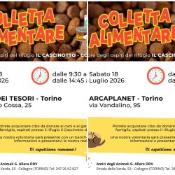 Doppia colletta alimentare sabato 18 luglio. VI aspettiamo!