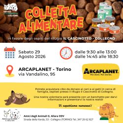 Colletta alimentare sabato 29 agosto. Vi aspettiamo!