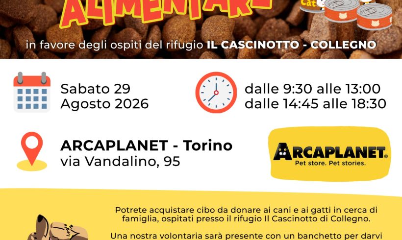 Colletta alimentare sabato 29 agosto. Vi aspettiamo! Colletta alimentare sabato 29 agosto. Vi aspettiamo!