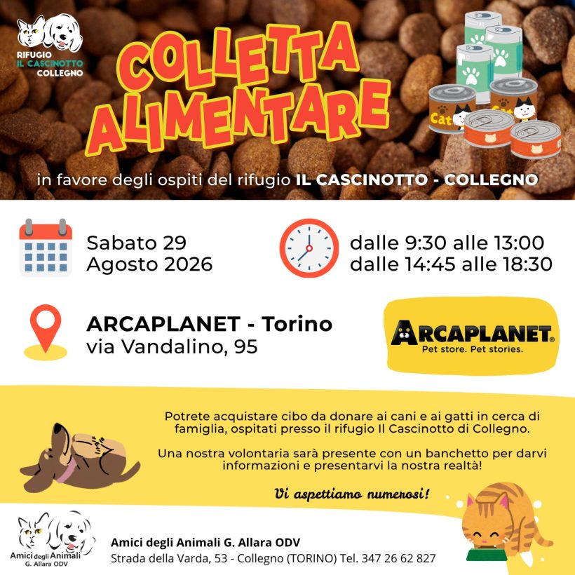 Colletta alimentare sabato 29 agosto. Vi aspettiamo! Colletta alimentare sabato 29 agosto. Vi aspettiamo!