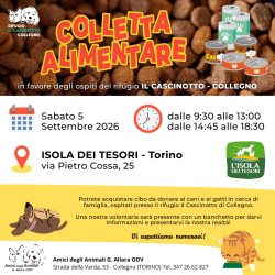 Colletta alimentare sabato 5 settembre. Vi aspettiamo!