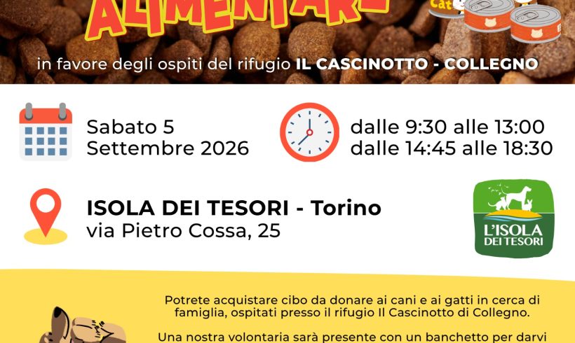 Colletta alimentare sabato 5 settembre. Vi aspettiamo! Colletta alimentare sabato 5 settembre. Vi aspettiamo!