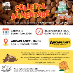 Colletta alimentare sabato 12 settembre. Vi aspettiamo!