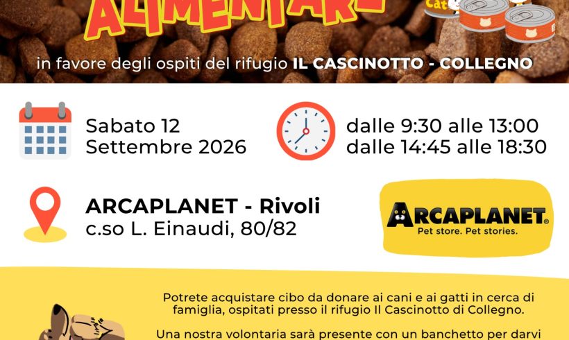 Colletta alimentare sabato 12 settembre. Vi aspettiamo! Colletta alimentare sabato 12 settembre. Vi aspettiamo!