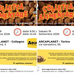 Doppia colletta alimentare sabato 19 settembre. Vi aspettiamo!