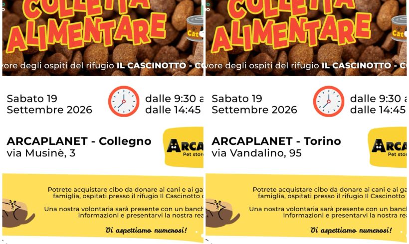 Doppia colletta alimentare sabato 19 settembre. Vi aspettiamo! Doppia colletta alimentare sabato 19 settembre. Vi aspettiamo!