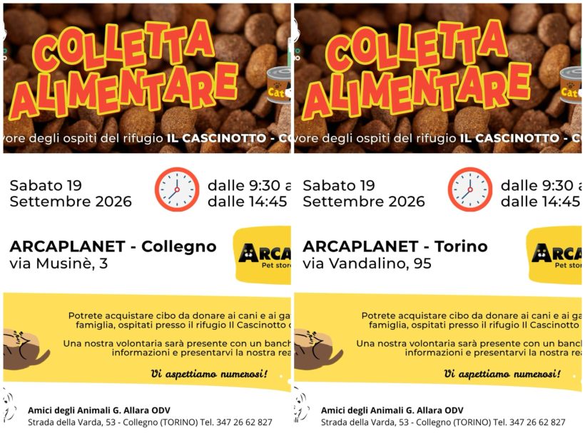 Doppia colletta alimentare sabato 19 settembre. Vi aspettiamo! Doppia colletta alimentare sabato 19 settembre. Vi aspettiamo!