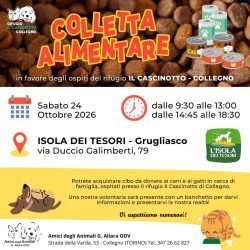 Colletta alimentare sabato 24 ottobre. Vi aspettiamo!