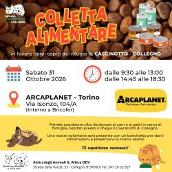 Colletta alimentare sabato 31 ottobre. Vi aspettiamo!