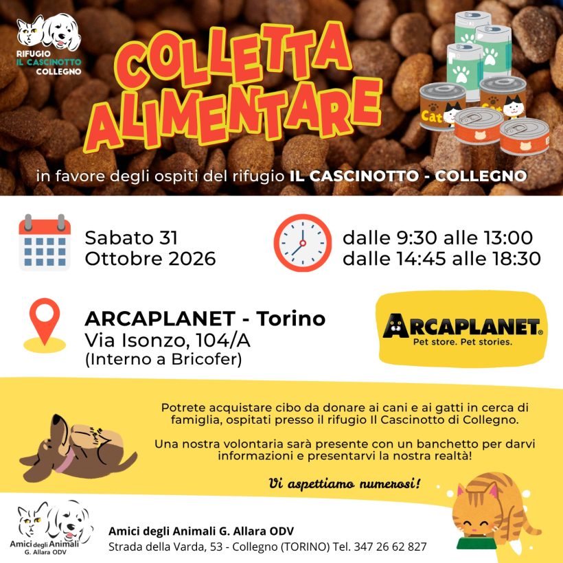 Colletta alimentare sabato 31 ottobre. Vi aspettiamo!