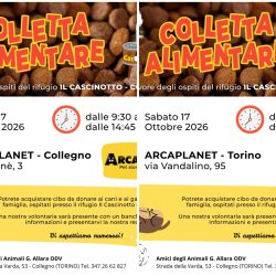 Doppia colletta alimentare sabato 17 ottobre. Vi aspettiamo!